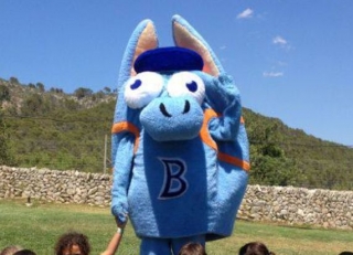 Buri sobre la hierba
